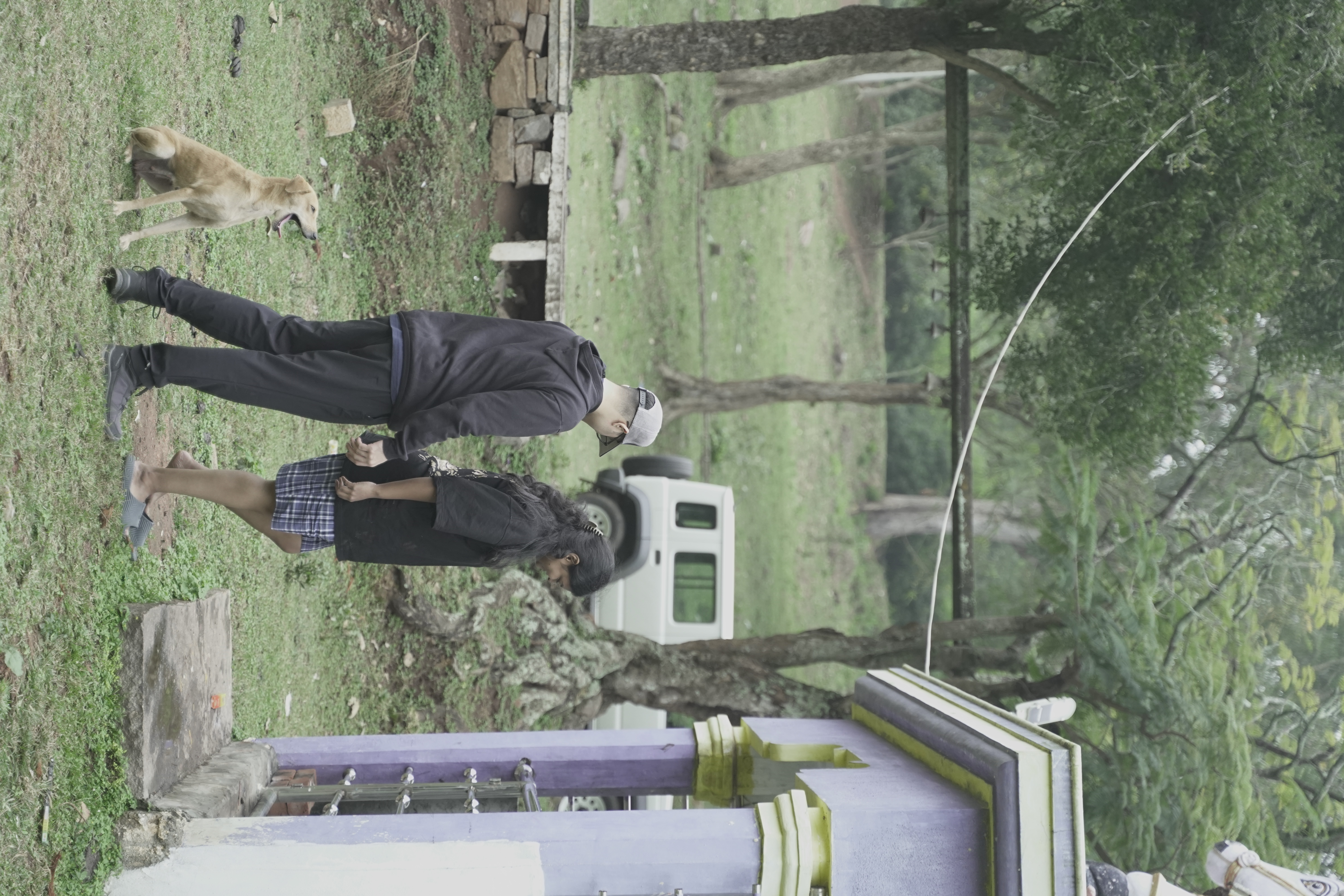 Wildlife on the property