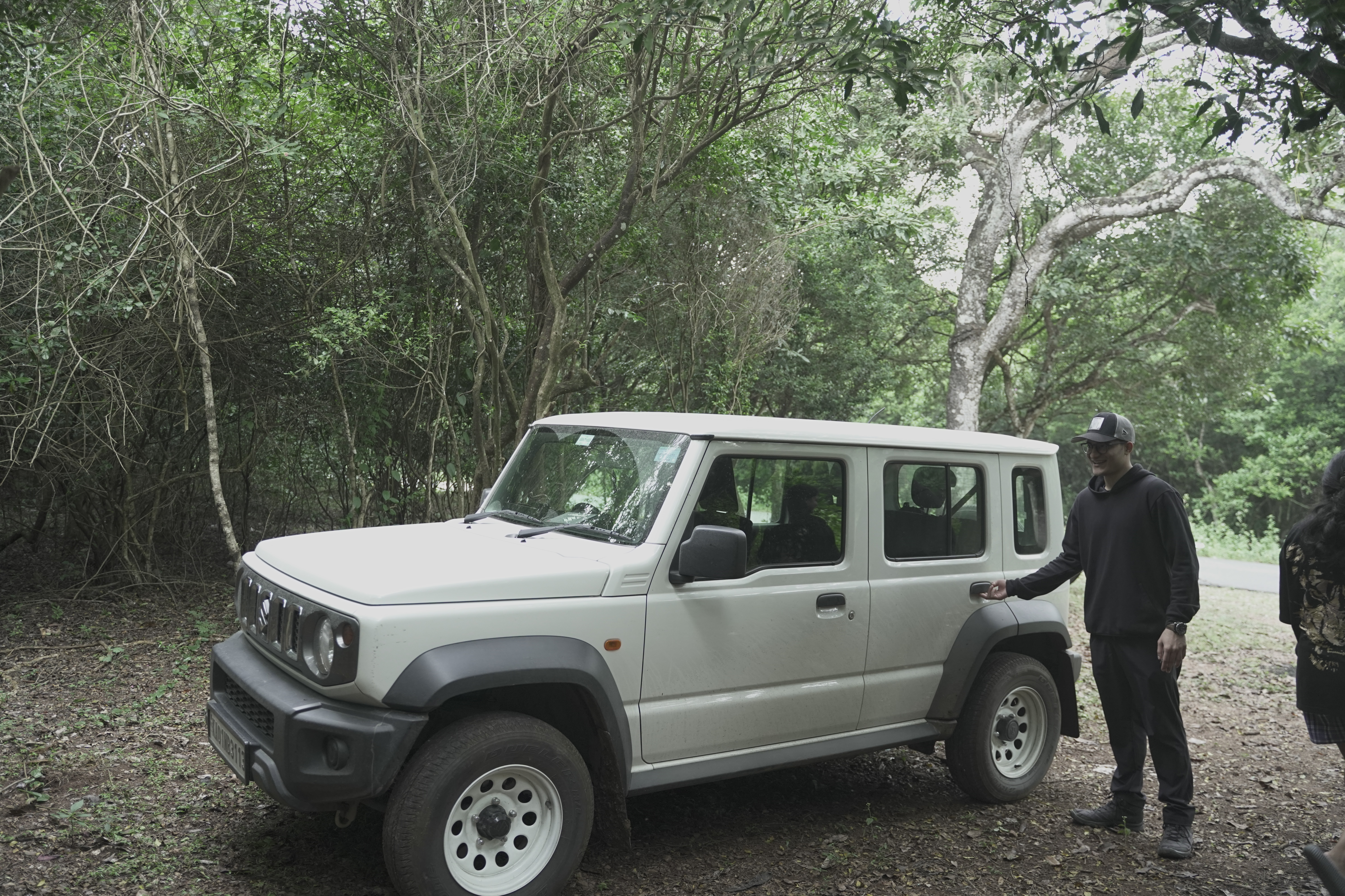 Safari rides through the forest